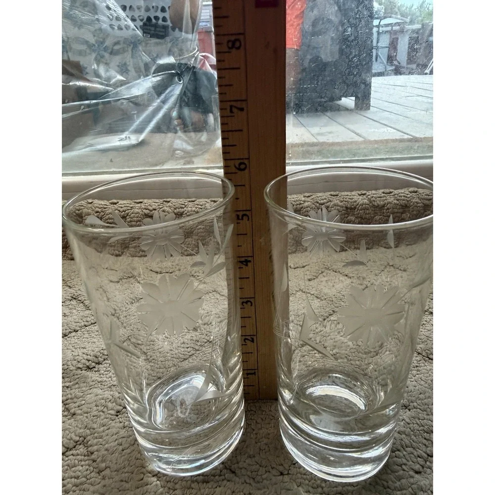 Vintage Mid-Century Etched Floral Highball Glasses, Set of 2